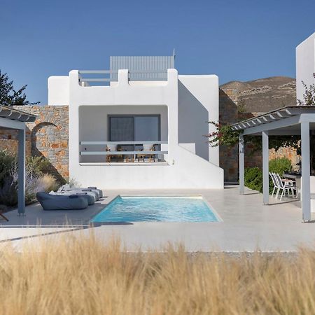 Villa Dione, Private Pool & Seaview By Naxos Dunes Kastrákion Exterior foto